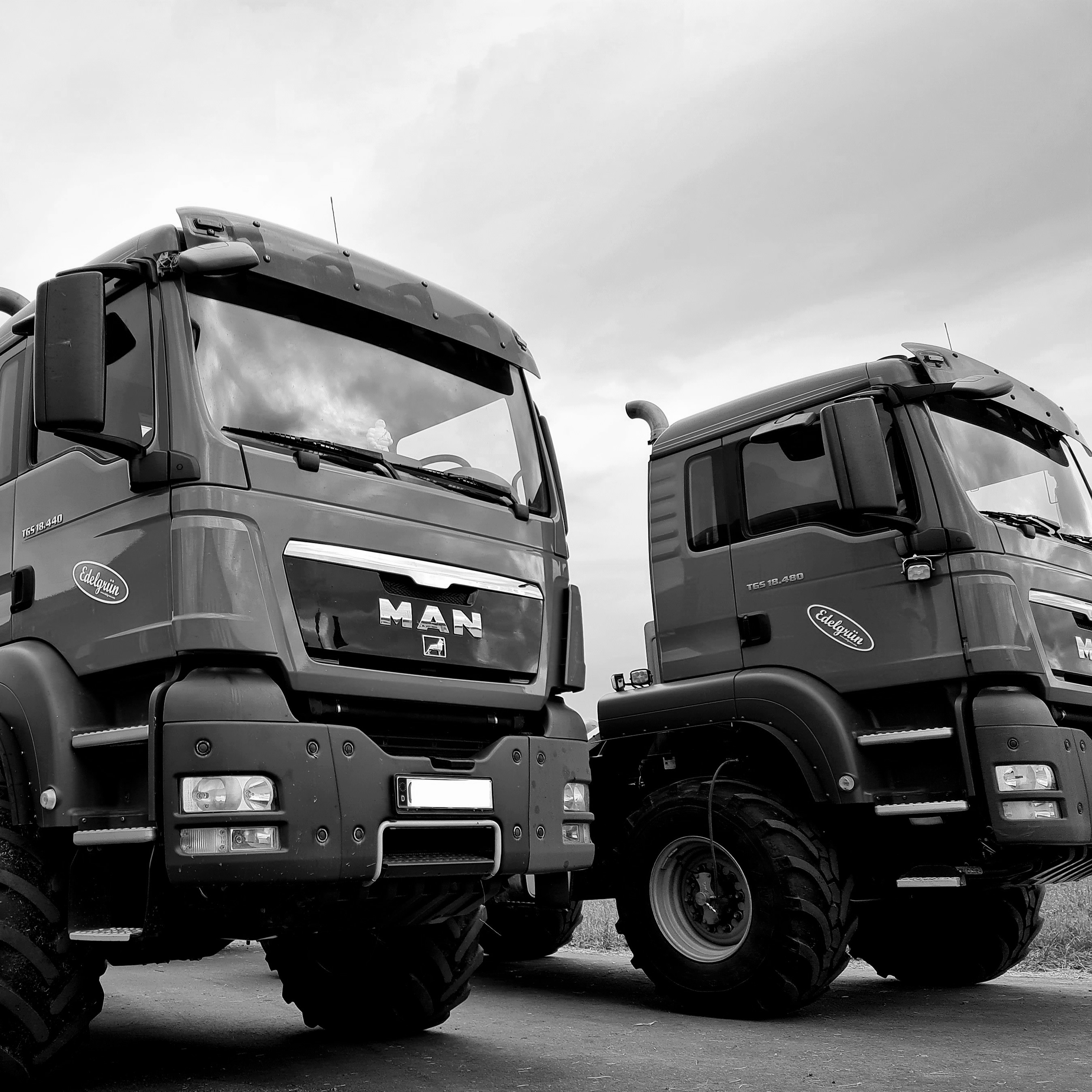 Futterhandel Lamerdingen GmbH Start